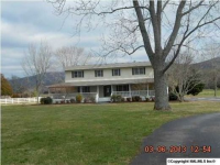 Hurricane, New Market, AL 35761 