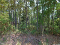 Fort Mims Pl, Dauphin Island, AL 36528 