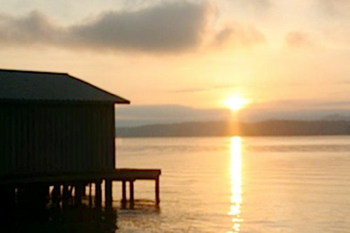 0 Tanglewood Lane, Scottsboro, AL 35769 