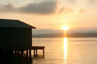 0 Tanglewood Lane, Scottsboro, AL 35769 