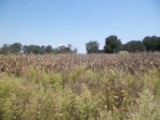 HYATT BOTTOM ROAD, Joppa, AL 35087 