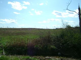 995 HYATT BOTTOM ROAD, Joppa, AL 35087 