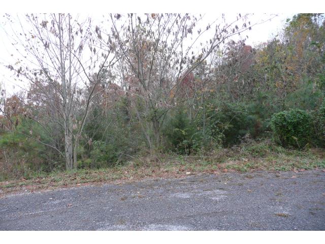 310 Co Rd 7001, Cullman, AL 35083 