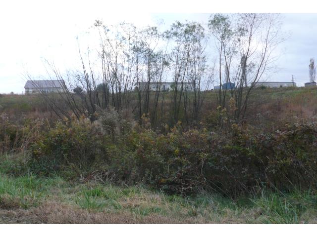 137 Co Rd 7001, Holly Pond, AL 35083 