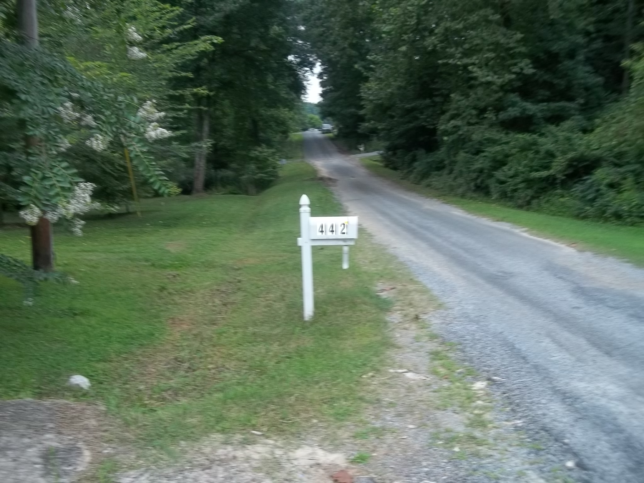 442 Co Rd 597, Hanceville, AL 35077 