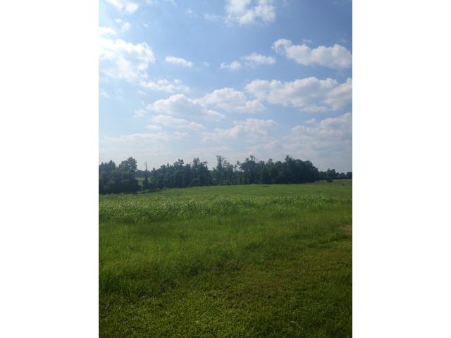 0 HWY 91, Hanceville, AL 35077 