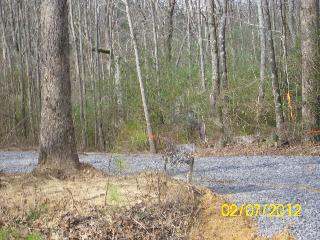 COUNTY ROAD 1579, Cullman, AL 35058 