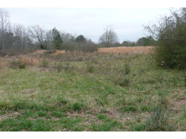 2194 County Road 1319, Cullman, AL 35058 