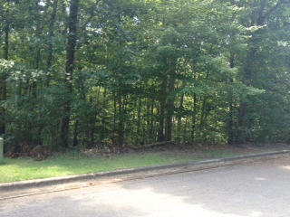 000 ROCKY WATERS CIRCLE, Cullman, AL 35057 