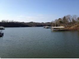 00 COUNTY RD 295, Cullman, AL 35057 