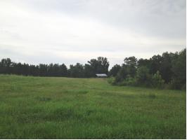 County Road 617, Hanceville, AL 35057 