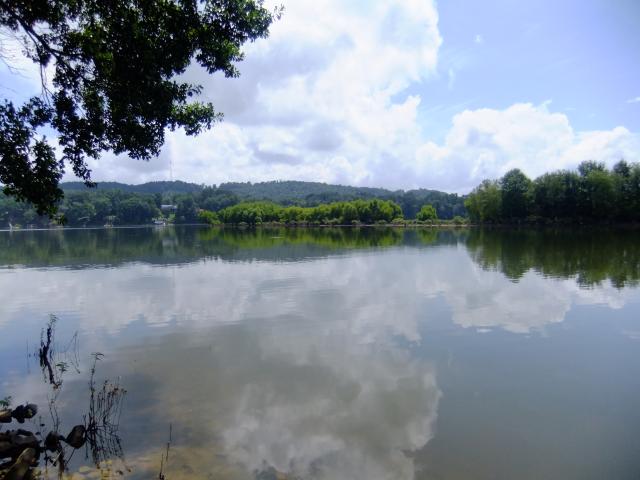 00 County Rd 307, Cullman, AL 35057 