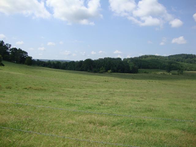 0 CO RD 424, Cullman, AL 35057 