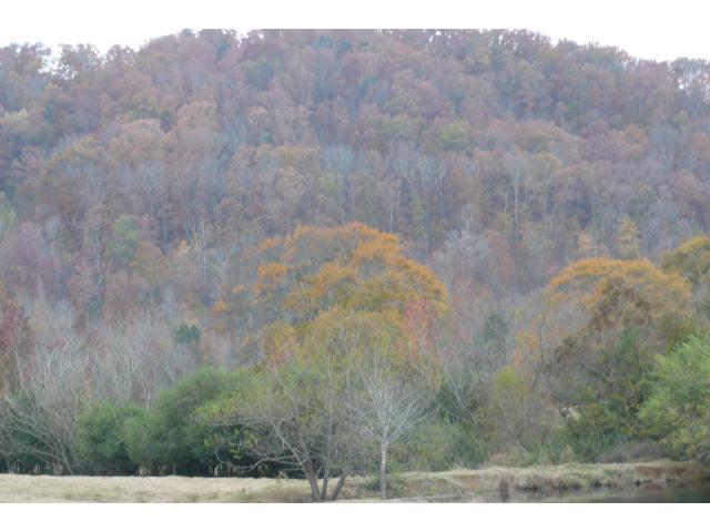 County Road 438, Cullman, AL 35057 