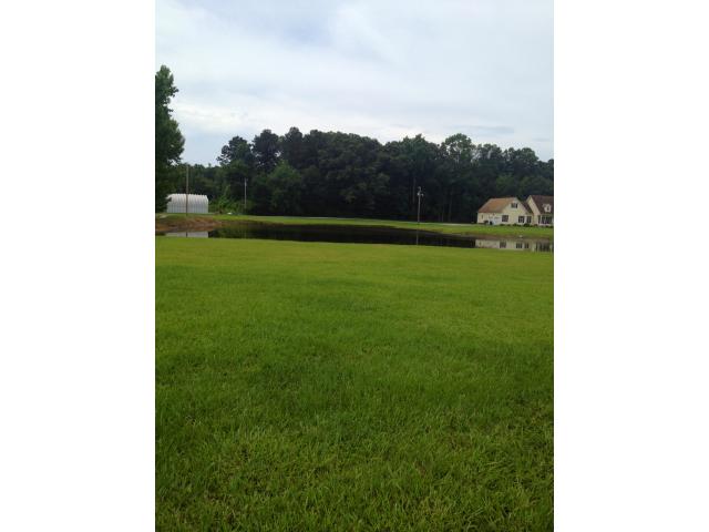 8665 co rd 310, Cullman, AL 35057 