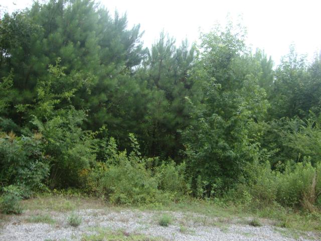 95 Trimble Rd, Cullman, AL 35057 