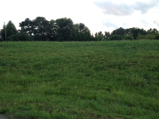 00 Co Rd 1567, Cullman, AL 35055 