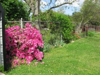 1836 SHEILA AVE NW, Cullman, AL 35055 