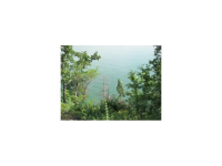 lot 11 co rd 229, Cullman, AL 35055 