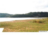 COUNTY ROAD 938, Crane Hill, AL 35053 