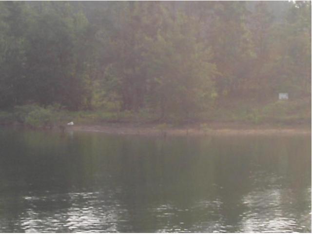 171 County Road 2020, Crane Hill, AL 35053 