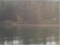 171 County Road 2020, Crane Hill, AL 35053 