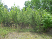 133 County Road 942, Crane Hill, AL 35053 