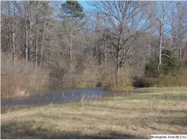 Hwy 331, #44 AC, Columbiana, AL 35051 