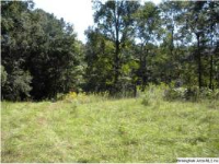 Co. Rd. 391, Clanton, AL 35045 