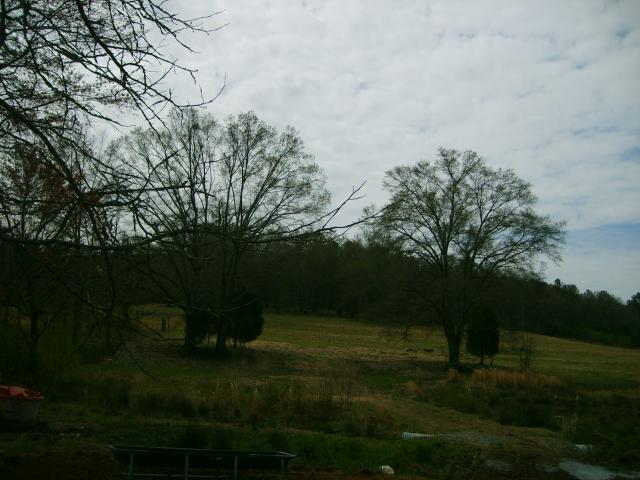 0 hwy 47, Blountsville, AL 35031 