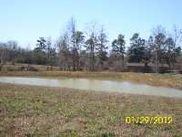 COUNTY ROAD 1711, Holly Pond, AL 35019 