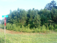 Hwy 278, Hokes Bluff, AL 35903 