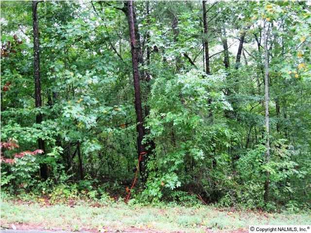 Greenbriar Road, Gadsden, AL 35901 