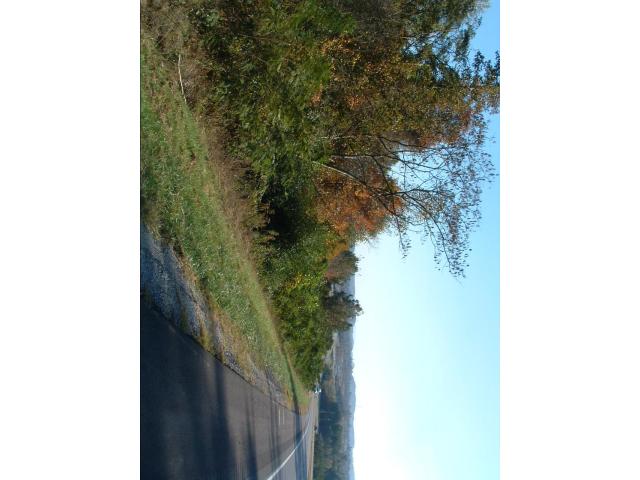 0 Highway 431, Glencoe, AL 35905 