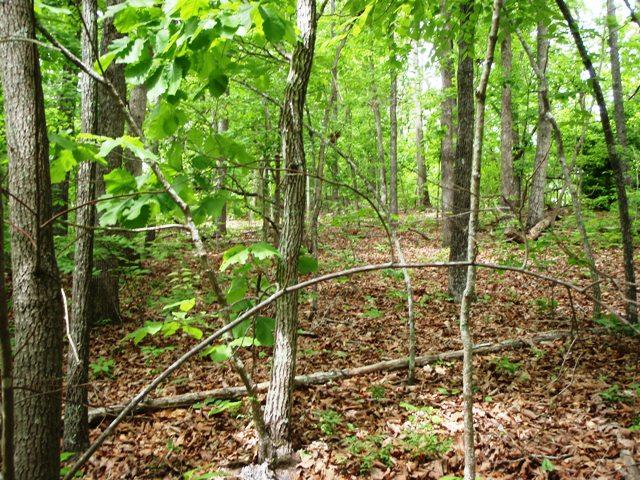 28 Hickory Lane, Glencoe, AL 35905 