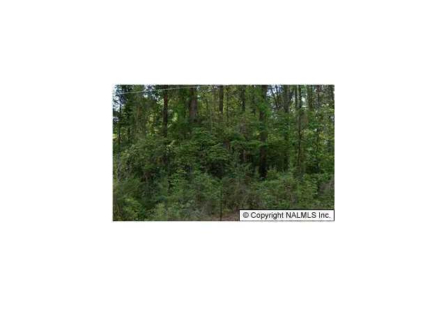 Lot 15 Davis Drive, Glenoce, AL 35905 