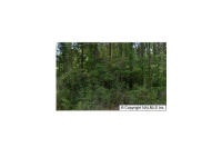 Lot 15 Davis Drive, Glenoce, AL 35905 