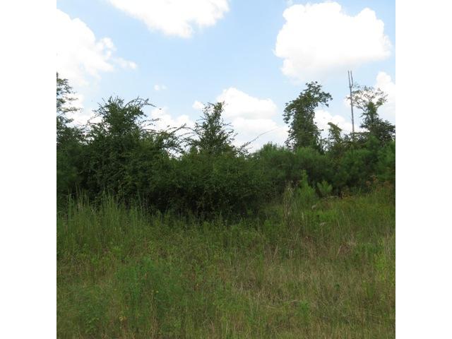 Shields Avenue, Rainbow City, AL 35906 