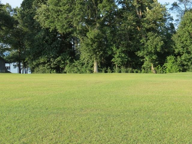 Lake Vista Drive Lot 6, Rainbow City, AL 35906 