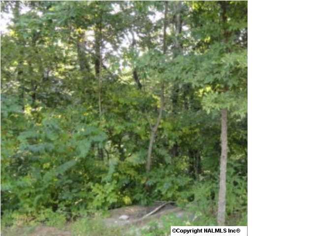 Tannahill Drive, Huntsville, AL 35802 