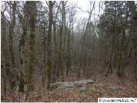 1610 Chandler Road, Huntsville, AL 35801 