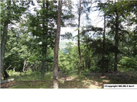 Shawdee Road North, Huntsville, AL 35803 