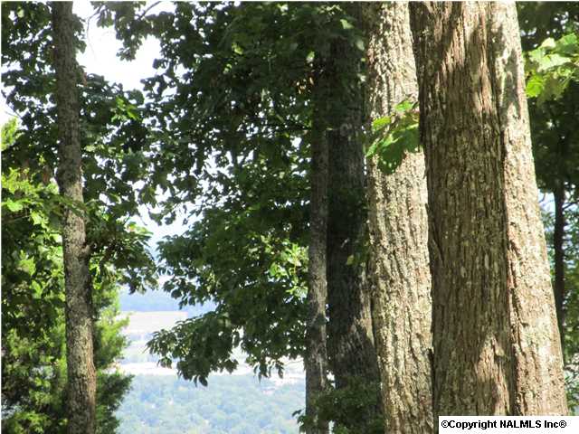 Mount Crest, Huntsville, AL 35803 