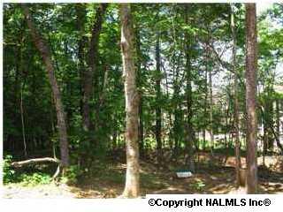 16402 Indian Ridge Circle, Huntsville, AL 35803 