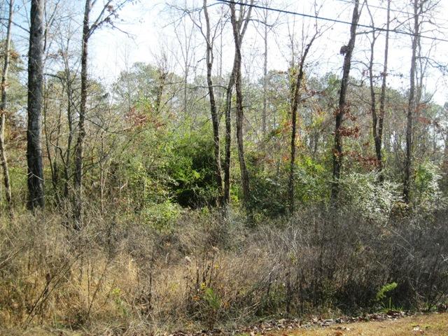 Rita Street, Southside, AL 35907 