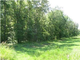 22 Split Bark Drive, Cecil, AL 36013 