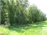 22 Split Bark Drive, Cecil, AL 36013 