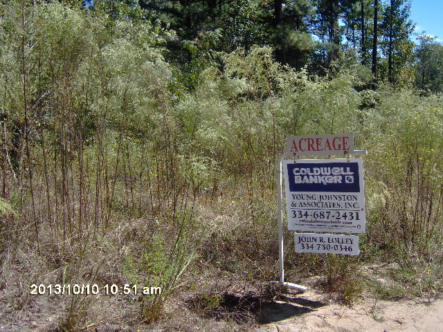 2818 Hwy 30, Clayton, AL 36016 