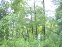 LOT 7, LOOKOUT Dr, Eufaula, AL 36027 