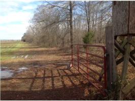 1275 COUNTY RD 28, Hardaway, AL 36039 